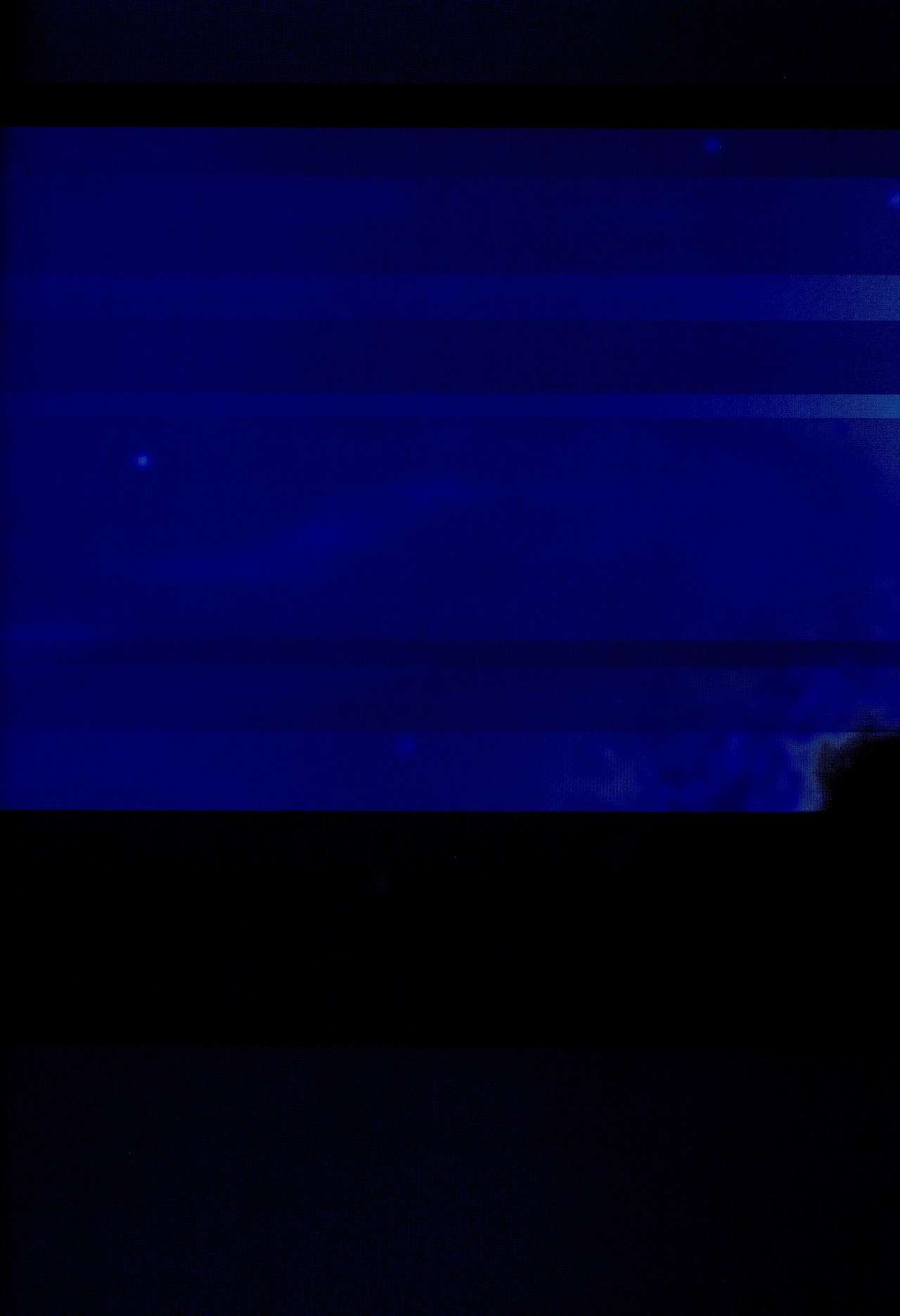 水月ビジュアルファンブック [Incomplete]