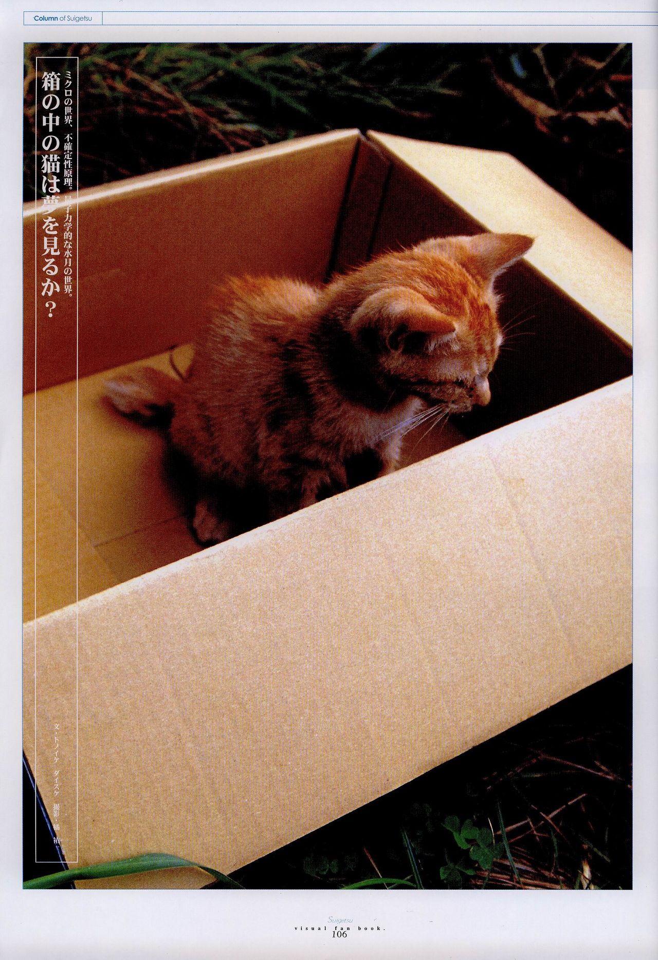 水月ビジュアルファンブック [Incomplete]