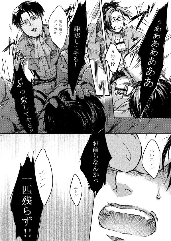 [やお屋 (とめと)] その目に映すのは (進撃の巨人) [DL版]