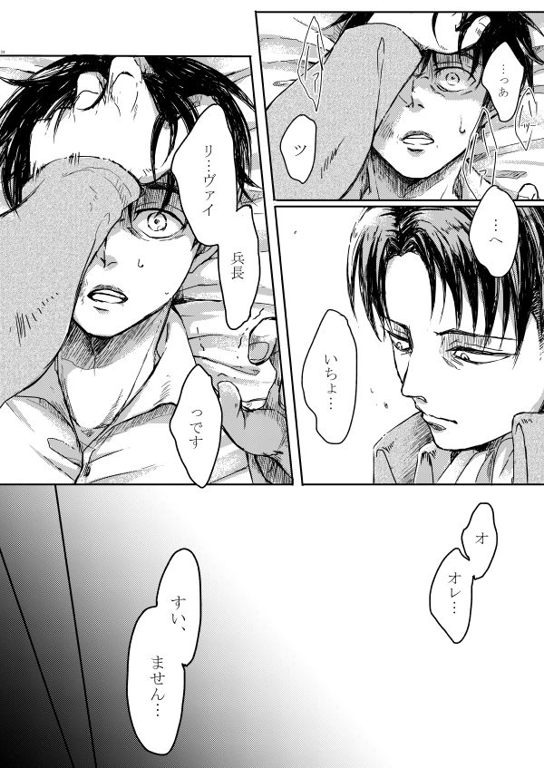 [やお屋 (とめと)] その目に映すのは (進撃の巨人) [DL版]