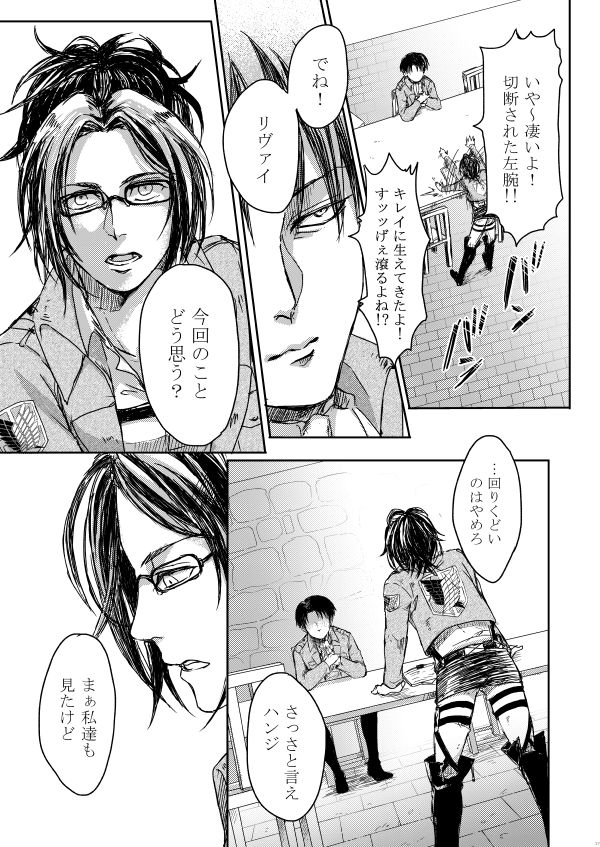 [やお屋 (とめと)] その目に映すのは (進撃の巨人) [DL版]