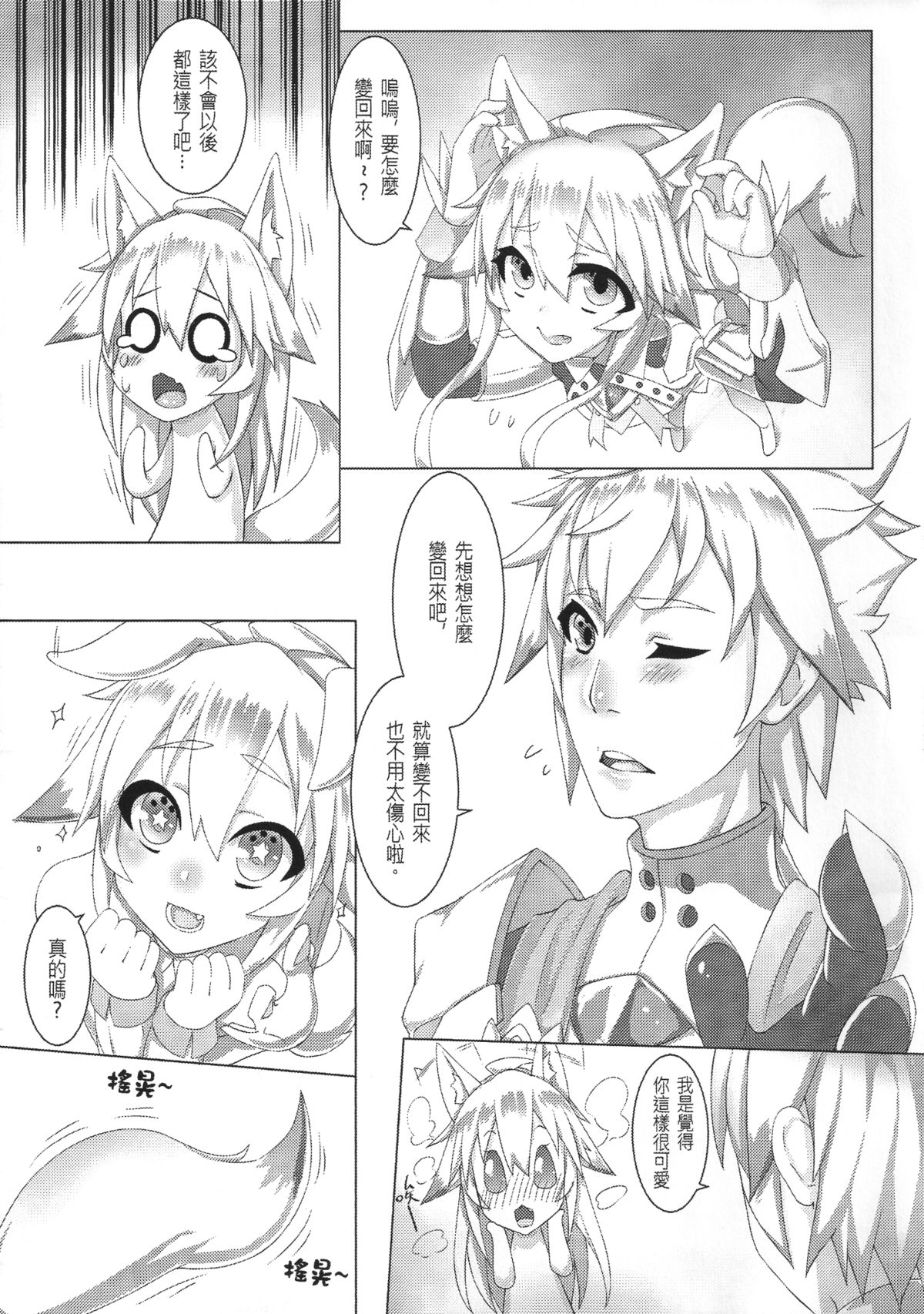 (FF25) [千仞蘭庭]哈梅爾的白狐(艾爾之光) [中国語]