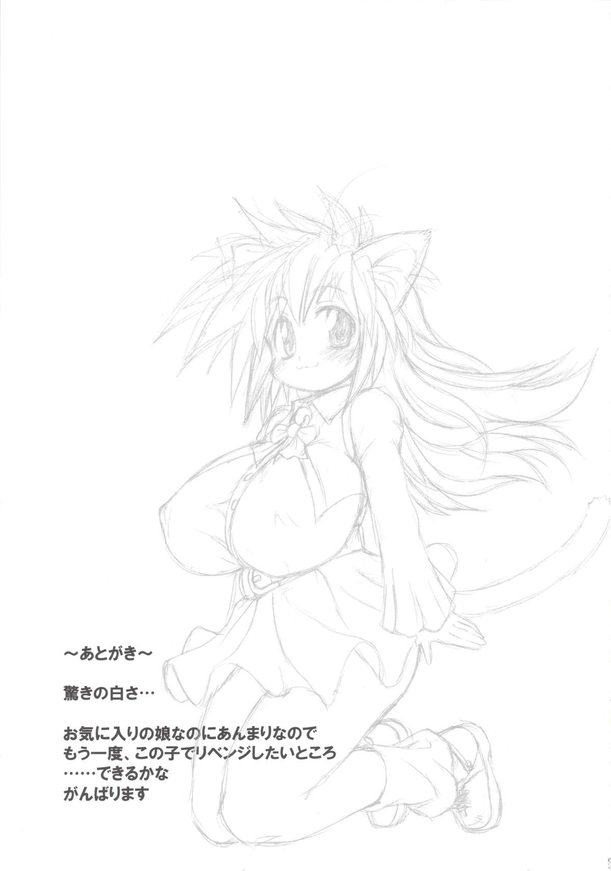 (C76) [四万十清流 (四万十曜太)] Nyan Sword [英訳]
