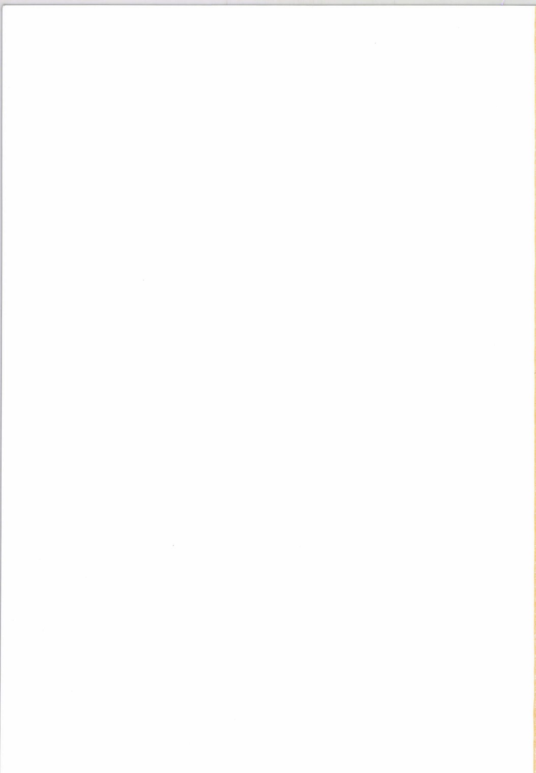 (例大祭11) [RTD (みずが)] 竹林の遠吠え (東方Project)