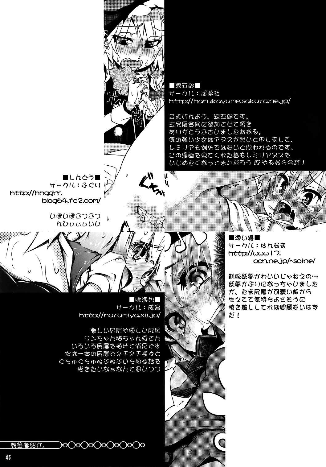 (C81) [成宮 (鳴海也)] たまタマしっぽ (東方Project) [英訳]