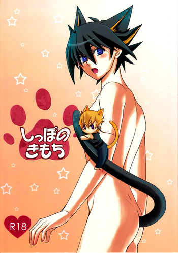 (C78) [送信箱@YGO! (仁神ユキタカ)] しっぽのきもち (遊☆戯☆王5D's)