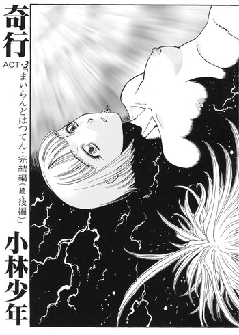 [小林少年丸 (細細組)] 奇行 ACT.3 まいらんどはつてん・完結編 ( 続・後編 )