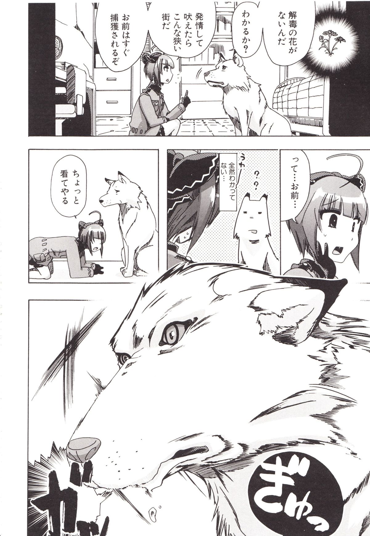 [チキコ] 獣姦彼女カタログ