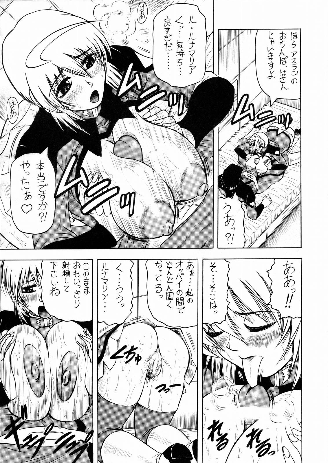 [J's Style (じゃみんぐ)] LUNA STLIKE プロトタイプ (機動戦士ガンダムSEED Destiny)