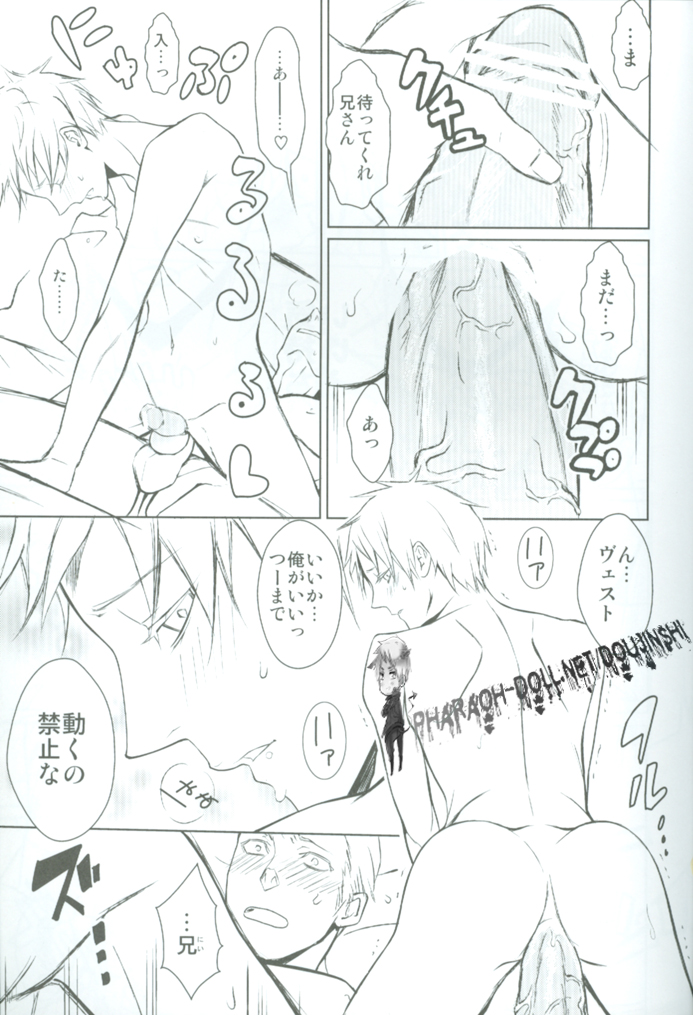 (C77) [Drunken Angel (イリマ)] Notgeil (Axis Powers ヘタリア)