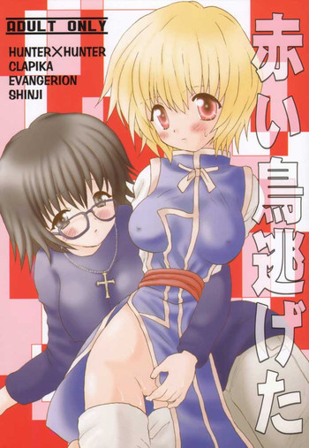 (C58) [くるぐるDNA、ハニワマニア (星逢ひろ、ポン貴花田)] 赤い鳥逃げた (ハンター×ハンター、新世紀エヴァンゲリオン)