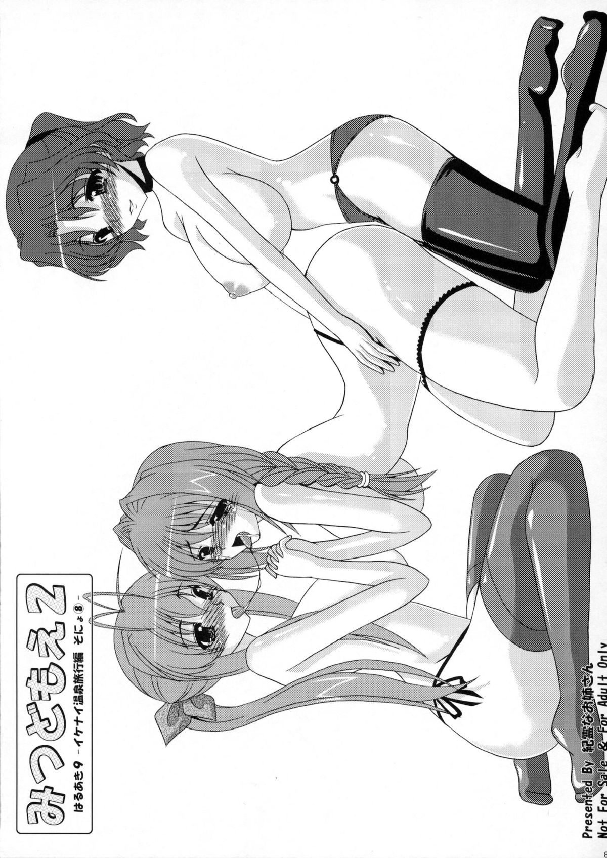 (C80) [紀霊なお姉さん (和泉弥生)] はるあき オマケ本総集編 そにょ2 (Kanon)