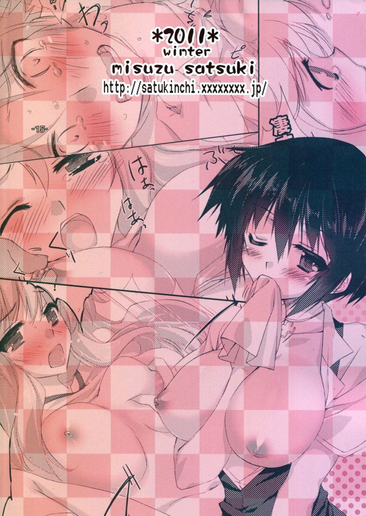 (C81) [サツキん家 (皐月みすず)] バカとチ○コと××× (バカとテストと召喚獣)