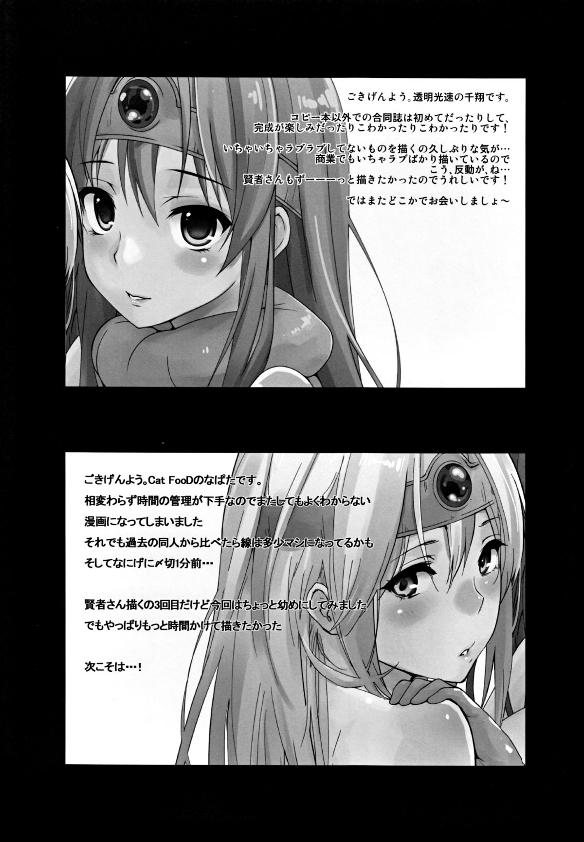 (C82) [Cat FooD & 透明光速 (なぱた、千翔)] 賢者さんLv.14 (ドラゴンクエスト3)
