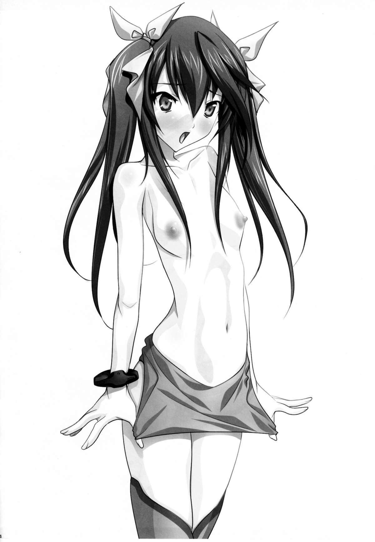 (COMIC1☆5) [彩～IRODORI～ (そよそよ) H'I,S (インフィニット・ストラトス)