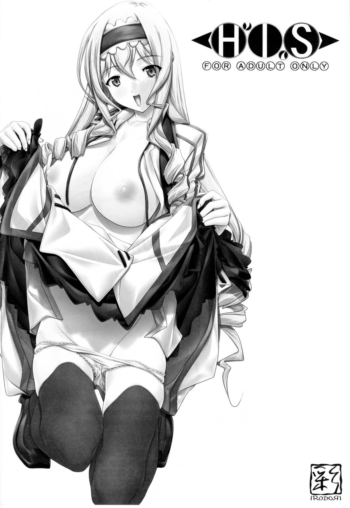 (COMIC1☆5) [彩～IRODORI～ (そよそよ) H'I,S (インフィニット・ストラトス)