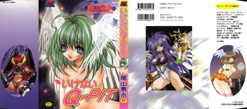 [尾山泰永] いけないQ-PIT