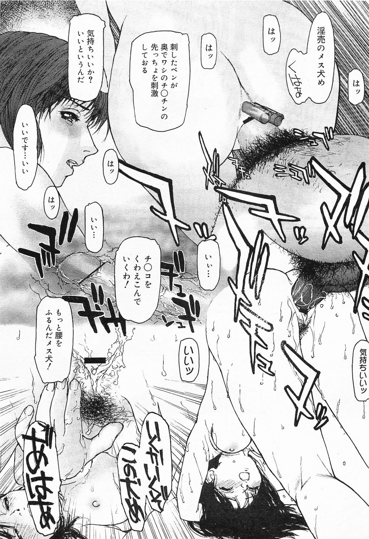 コミックメガミルク 2012年1月号 Vol.19