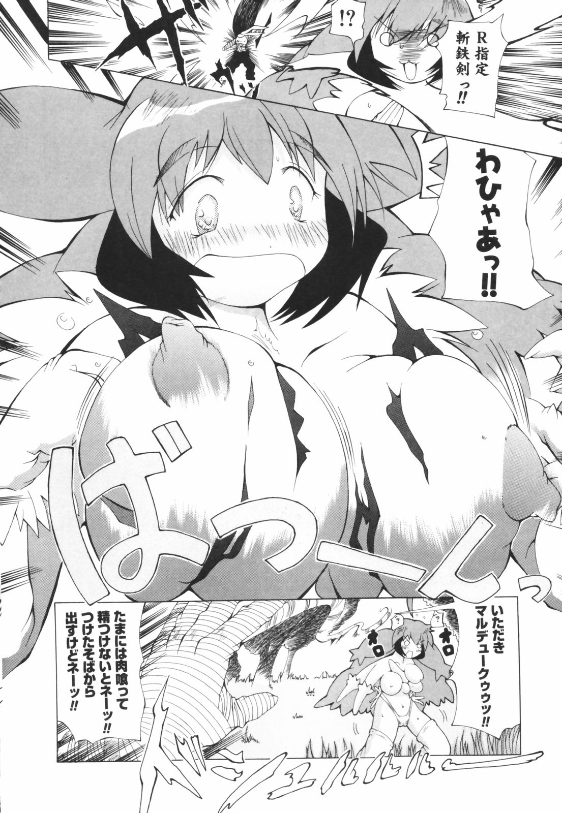 [コンバット越前] お姉ちゃん暴走特急！