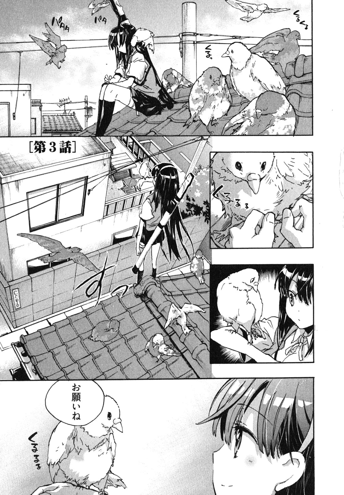 [ジェームスほたて] 愛恋千鳥 第1巻