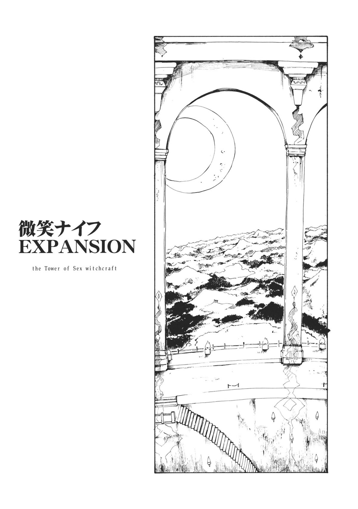 (C80) [PARANOIA CAT (藤原俊一)] 東方浮世絵巻 微笑ナイフEXPANSION (東方Project) [英訳]