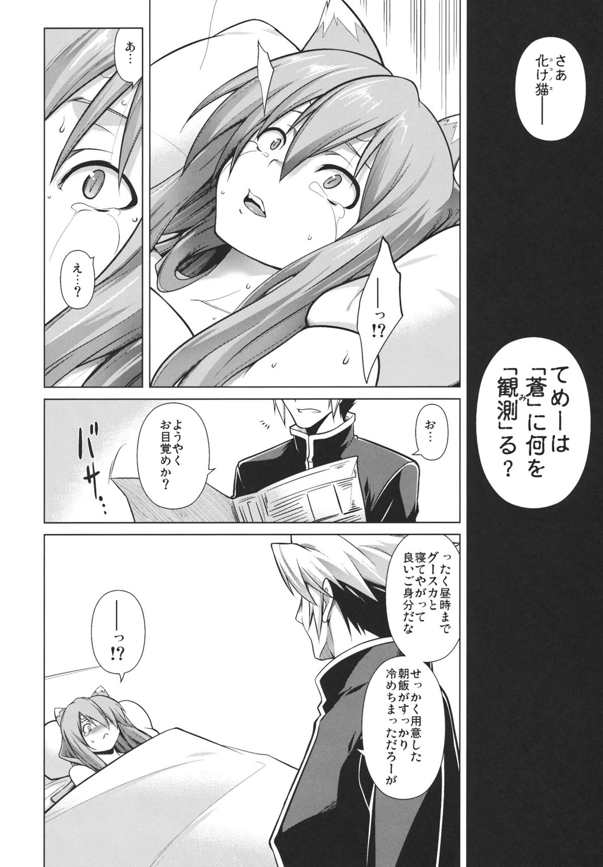 (C80) [STUDIO TIAMAT (TANABE)] BREAK BLUE STRAY CAT (ブレイブルー)