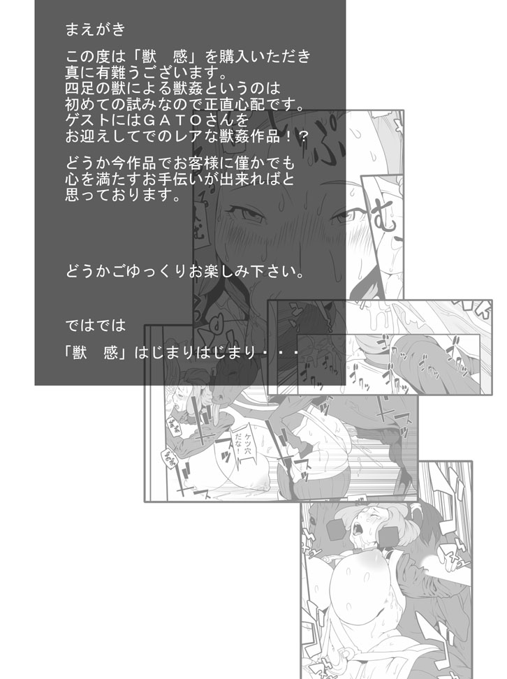 【ラッシュ・ライズ・ライン】ジュウカン【英語】