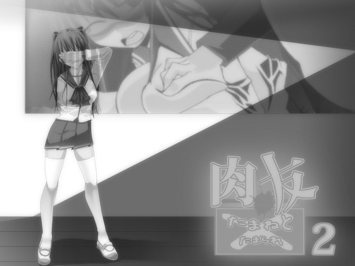 [ポポドクトリン] 肉友 たまねとたまられ2 (トゥハート2)