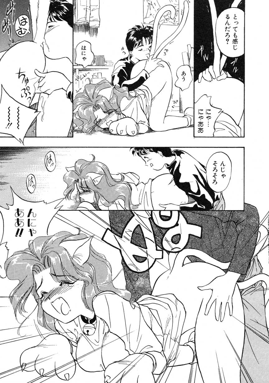 【まがき両田】うさぎの状態