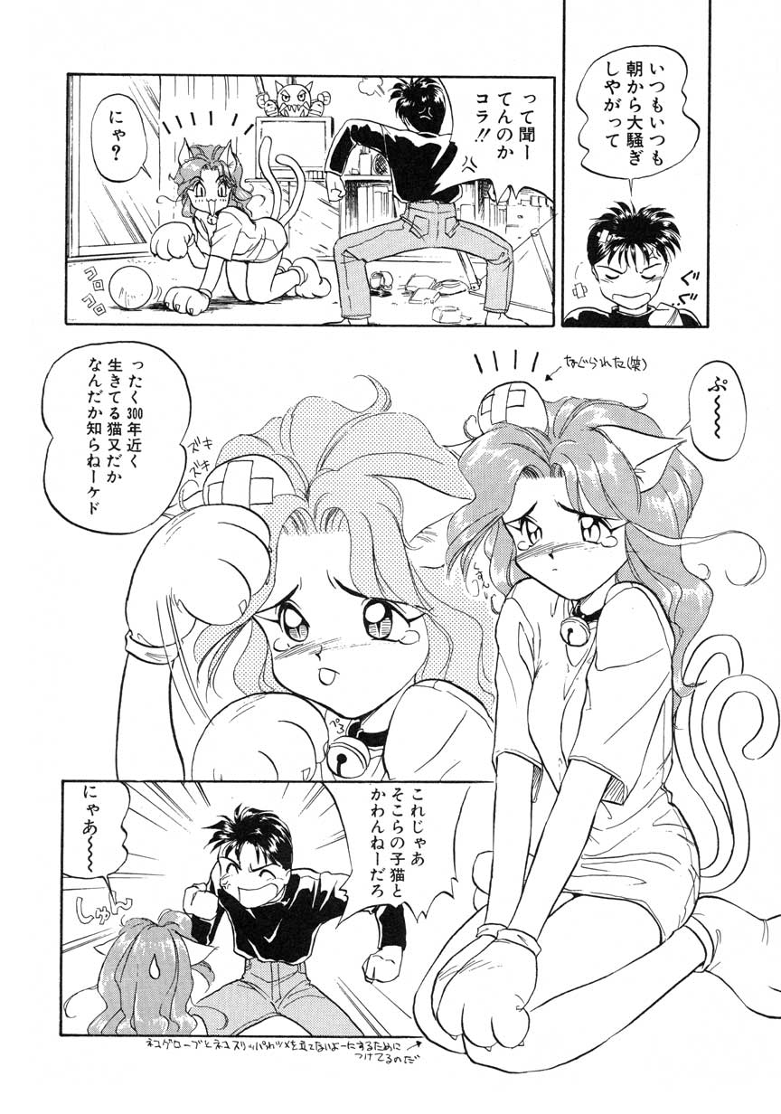 【まがき両田】うさぎの状態