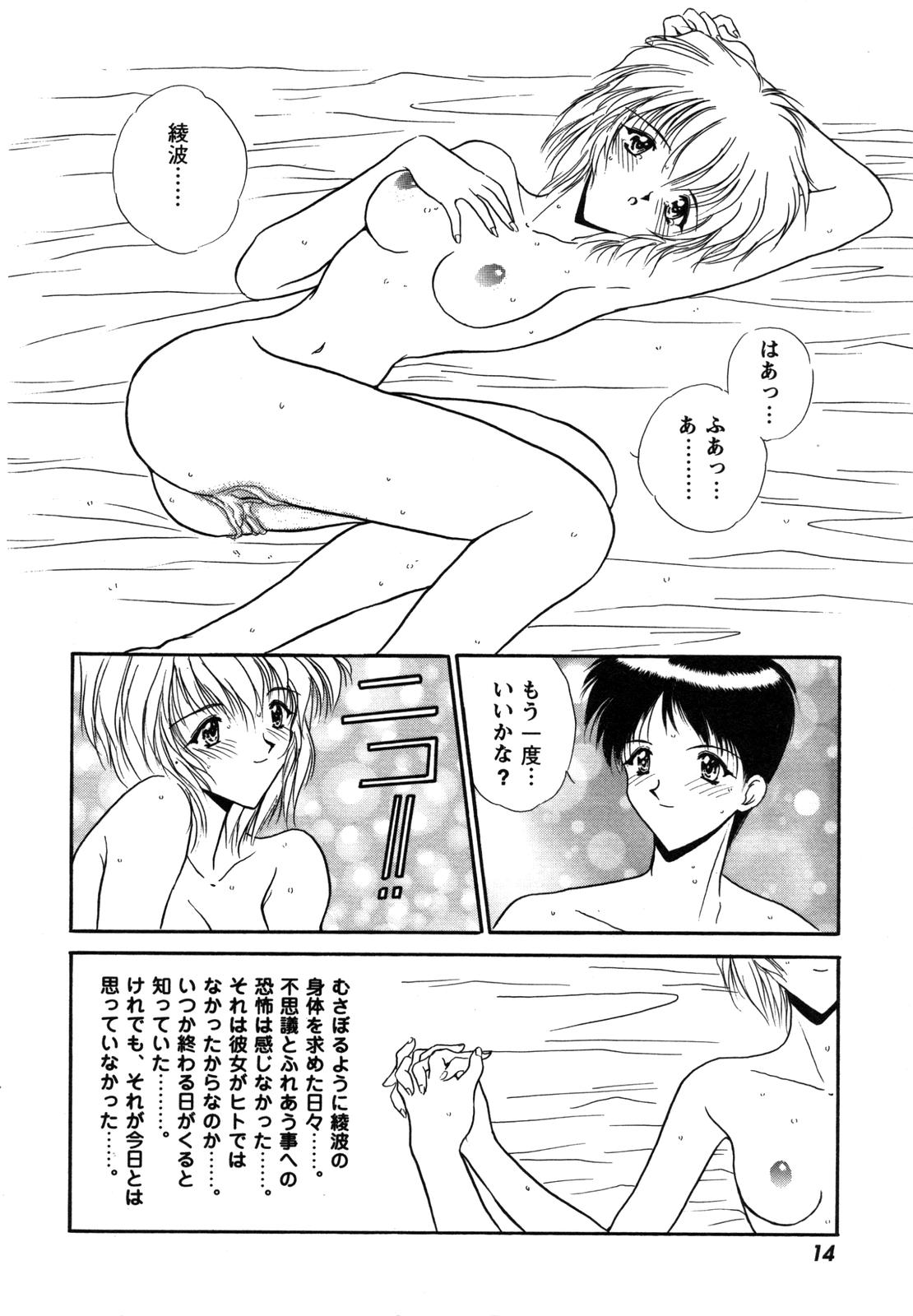 [アンソロジー] ProjectE 第二次中間報告 (新世紀エヴァンゲリオン)