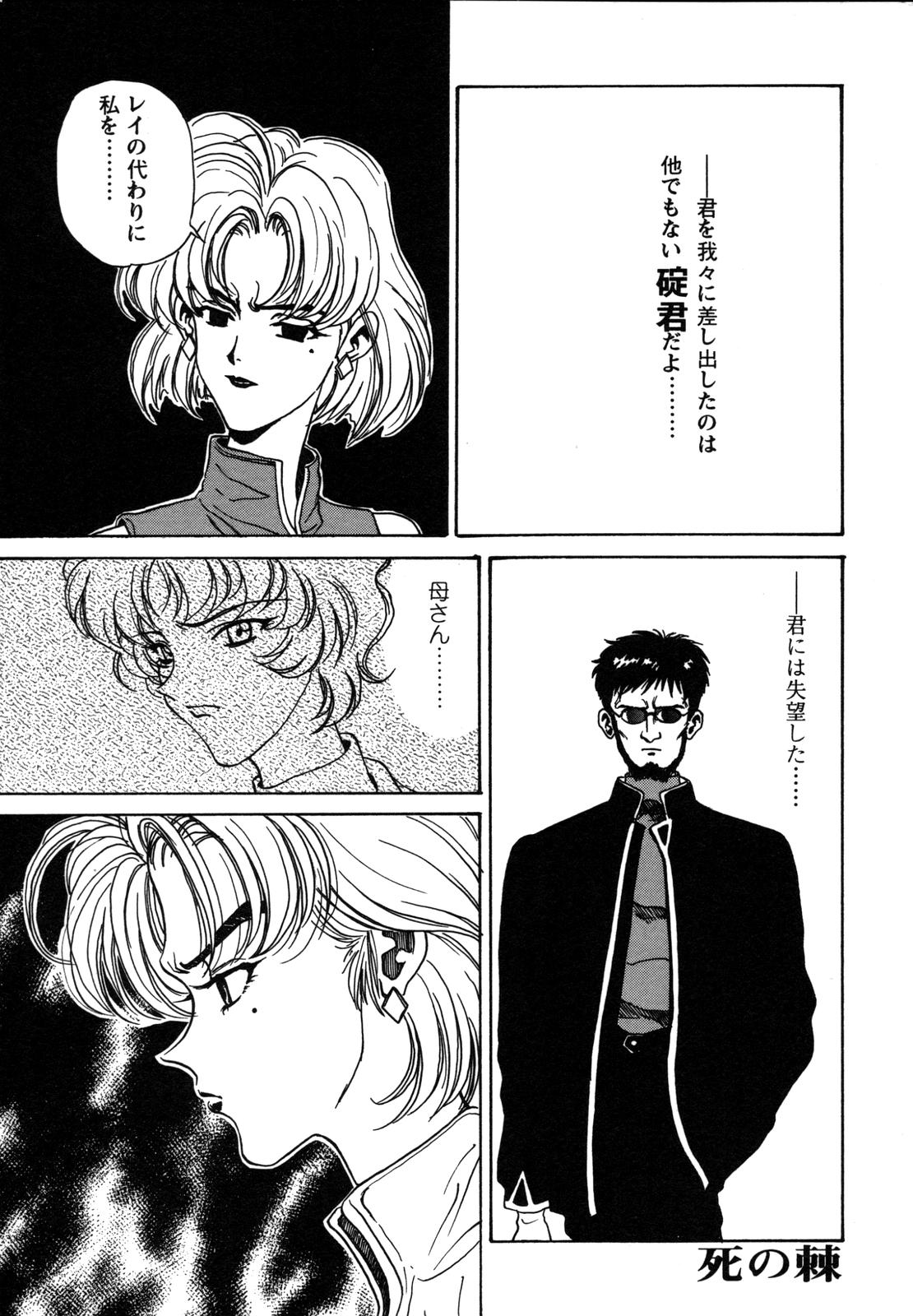 [アンソロジー] ProjectE 第二次中間報告 (新世紀エヴァンゲリオン)