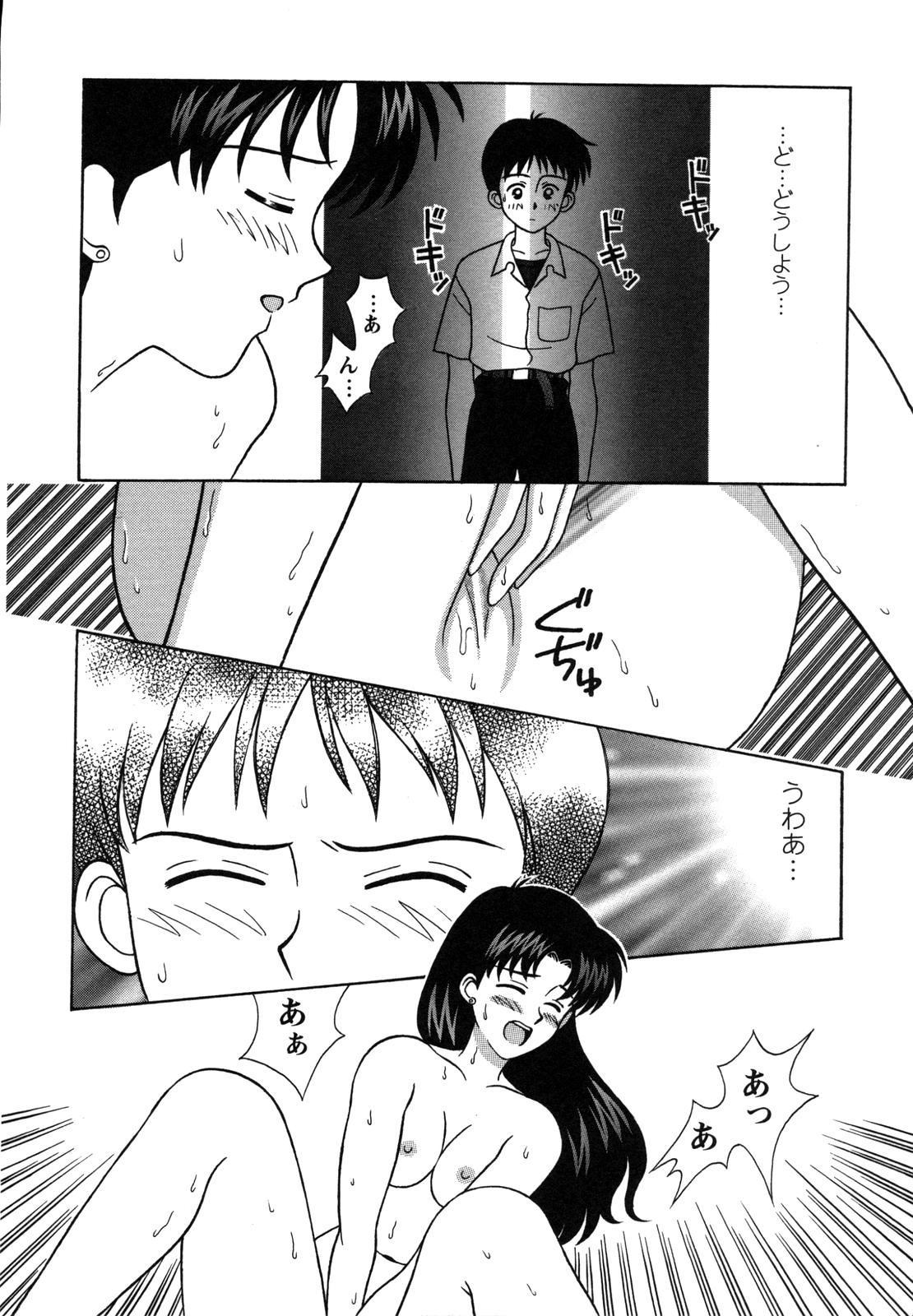 [アンソロジー] ProjectE 第二次中間報告 (新世紀エヴァンゲリオン)