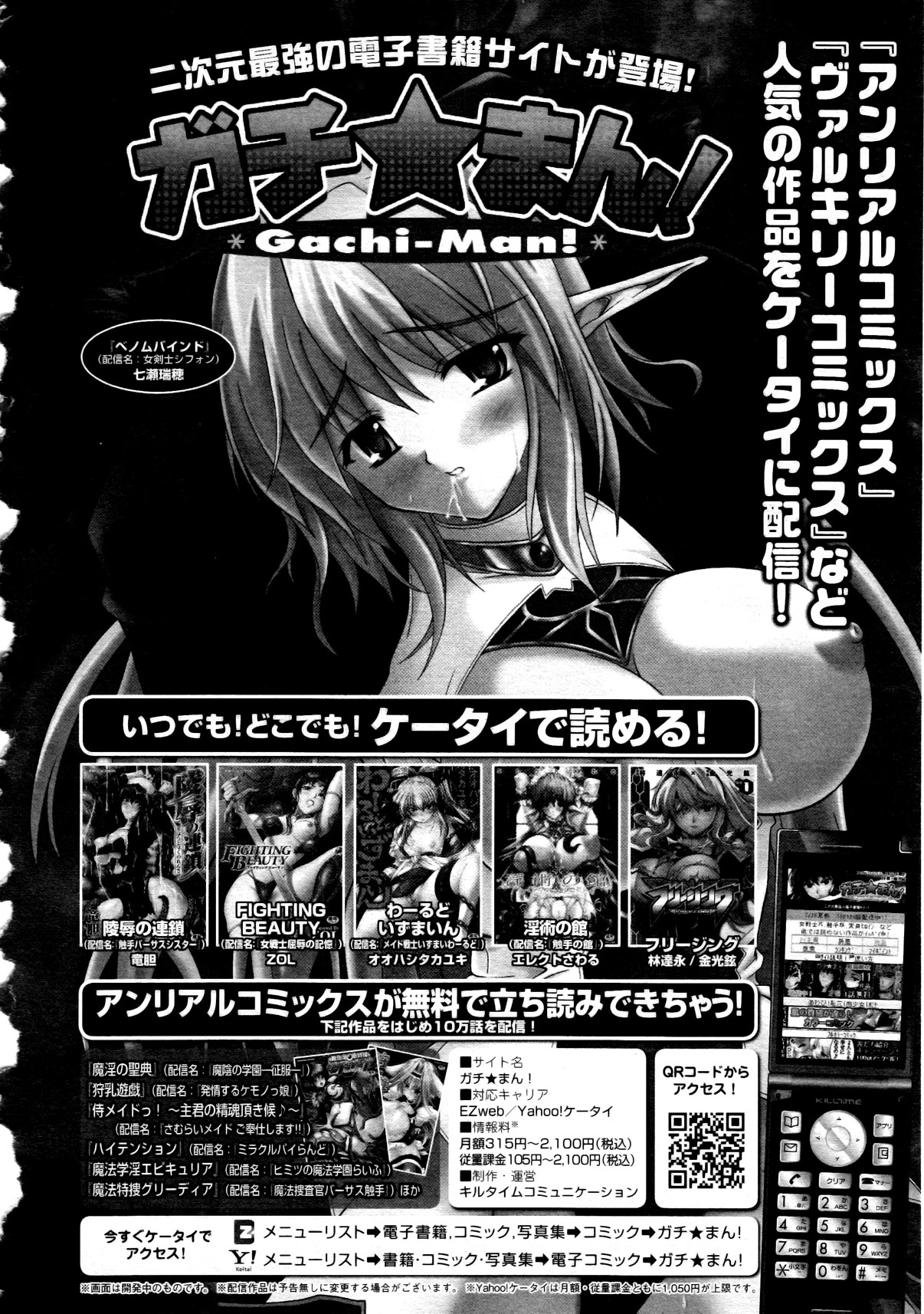 コミックアンリアル 2010年12月号 Vol.28