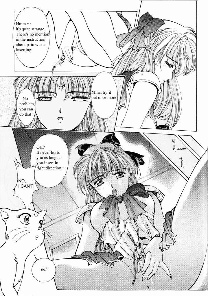 セーラーV（愛野美奈男子セーラームーン）[英語]