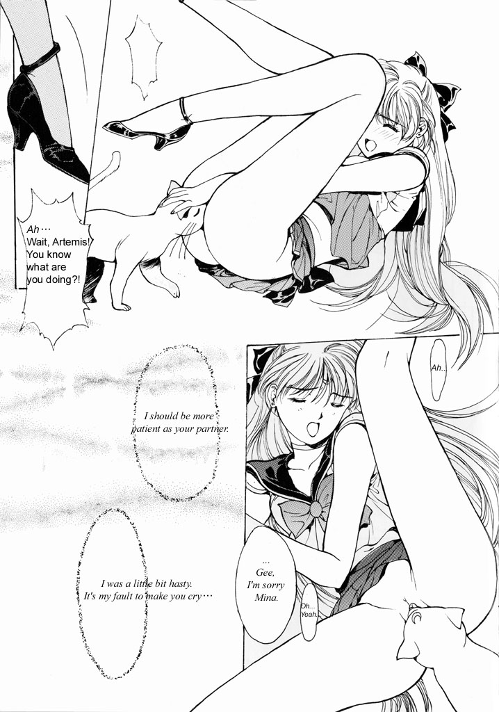 セーラーV（愛野美奈男子セーラームーン）[英語]