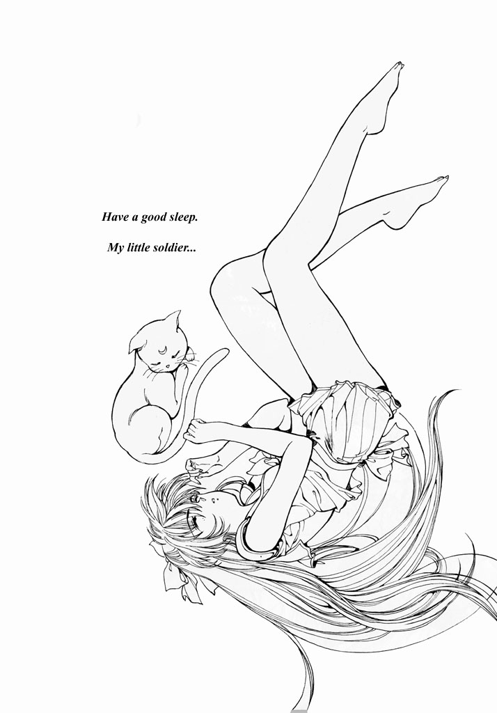 セーラーV（愛野美奈男子セーラームーン）[英語]