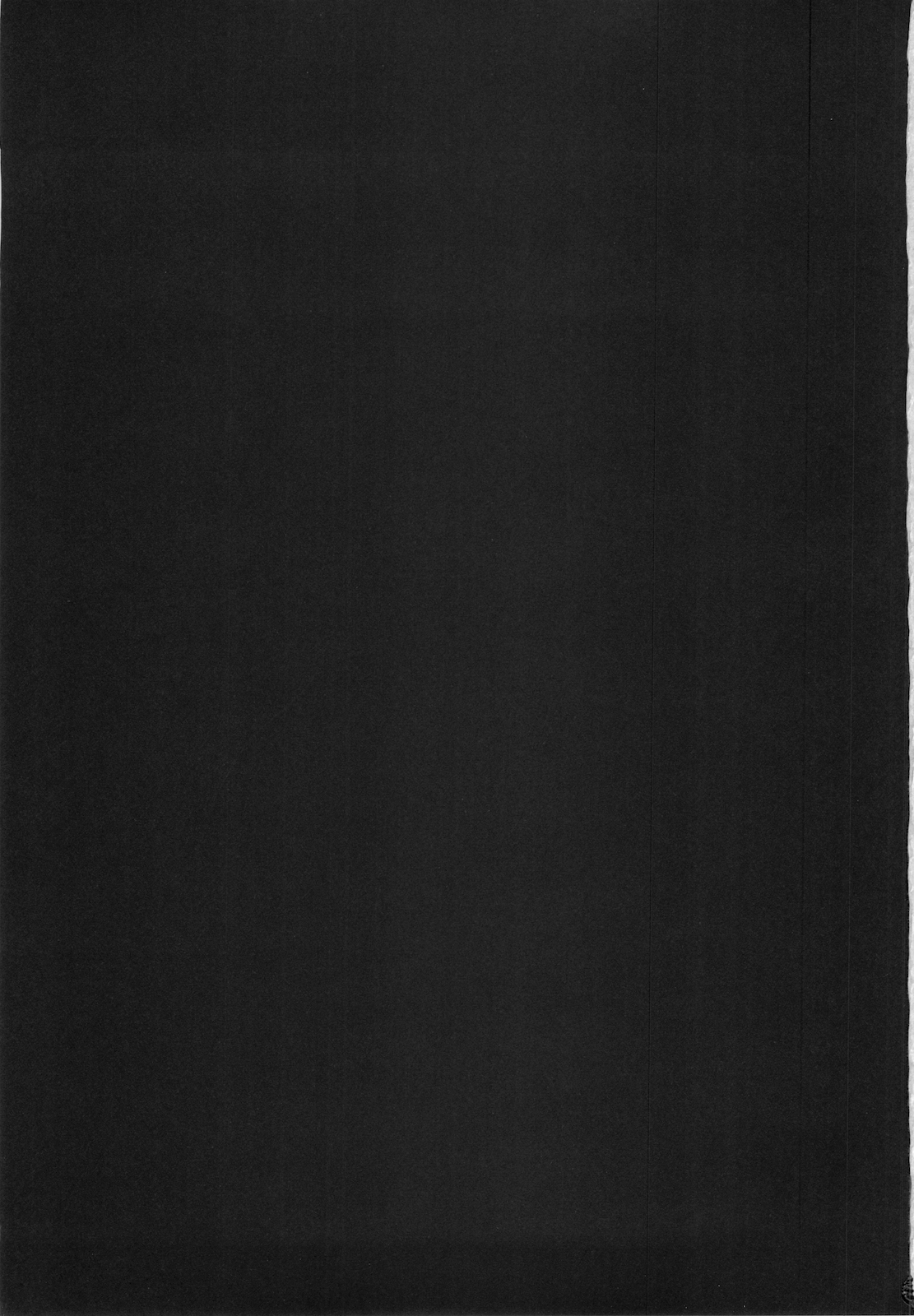 (C77) [NIKKA (まりおかねだ)] Princess code 04 (聖剣伝説3)