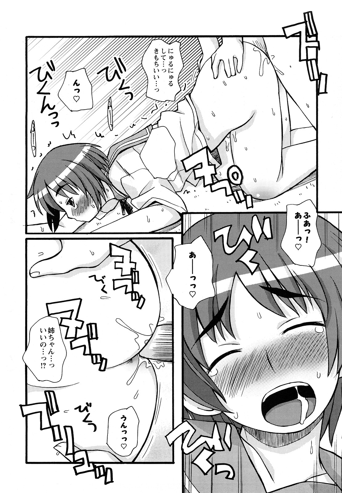 [狩野蒼穹] ぼくだって姉とセックスしてみたい！