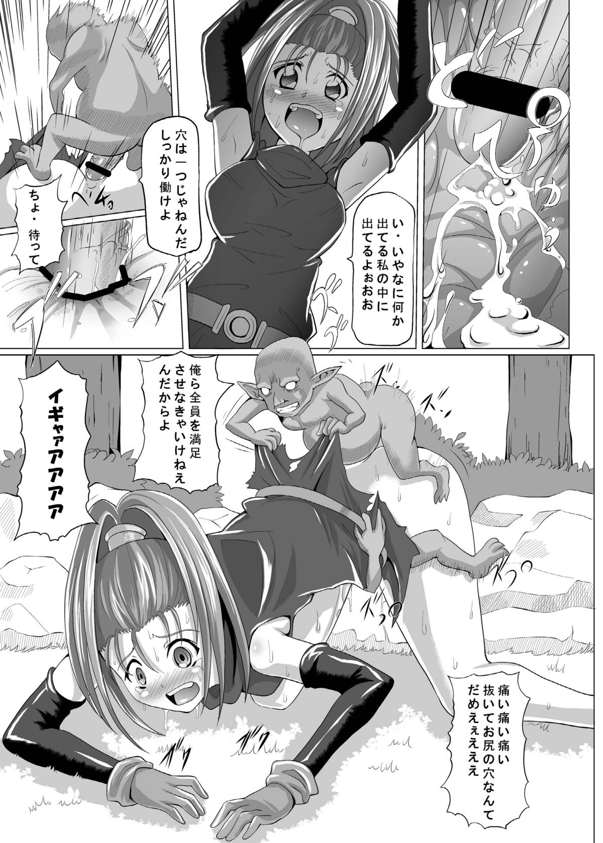 [黒玉屋] VIの本 ～おまけ付き～ (ドラゴンクエスト6)