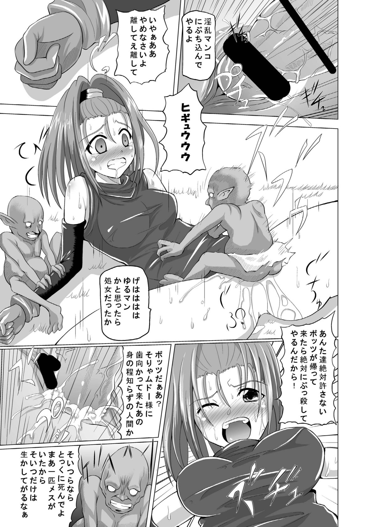 [黒玉屋] VIの本 ～おまけ付き～ (ドラゴンクエスト6)