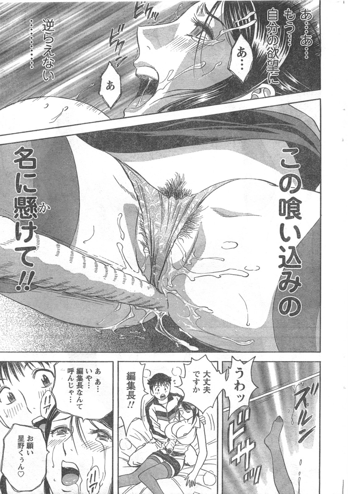 COMIC キャンドール 2008年5月号 Vol.52