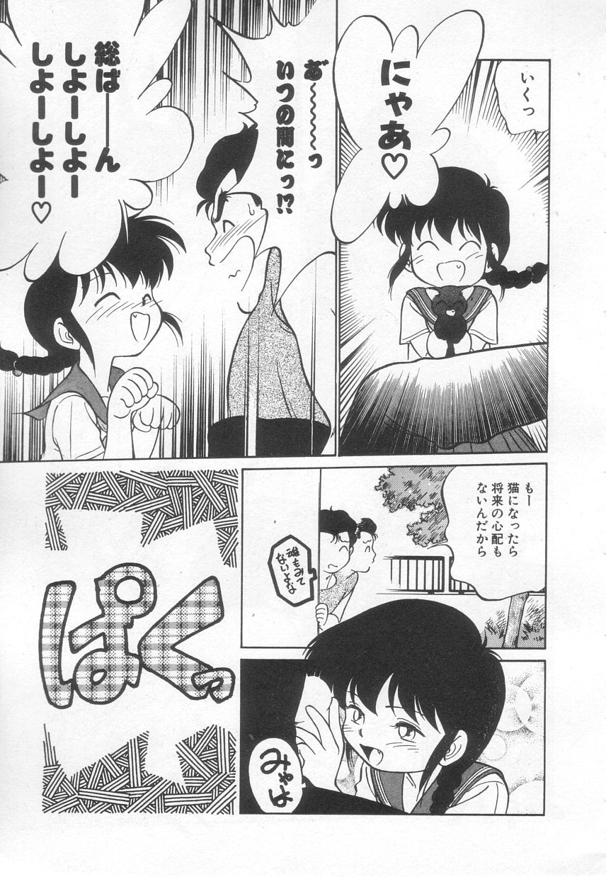[魔訶不思議] 猫じゃ猫じゃ 3
