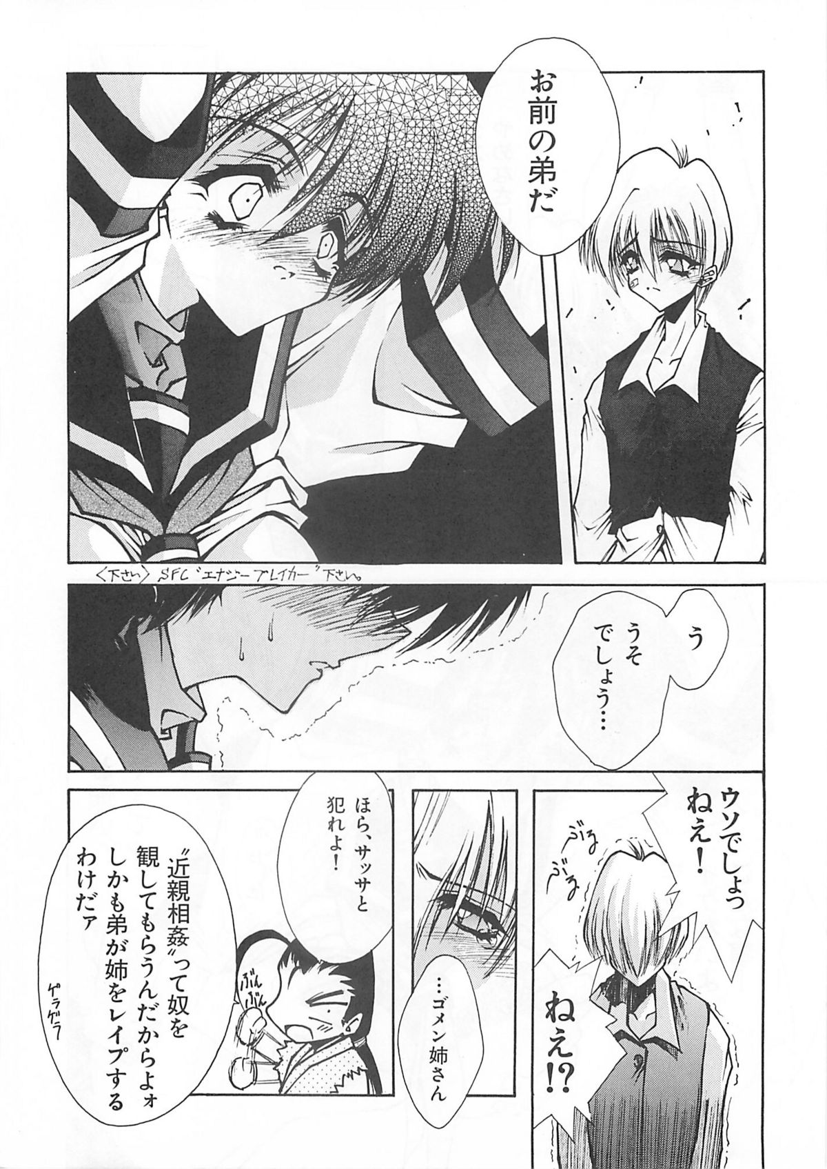 (Cレヴォ21) [BLUE GARNET (芹沢克己)] Blue Garnet Vol.03 散桜 (ストリートファイターZERO)