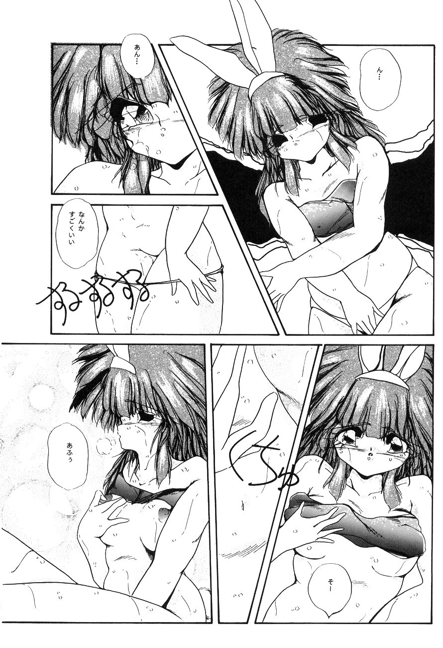 ハイスクール白書