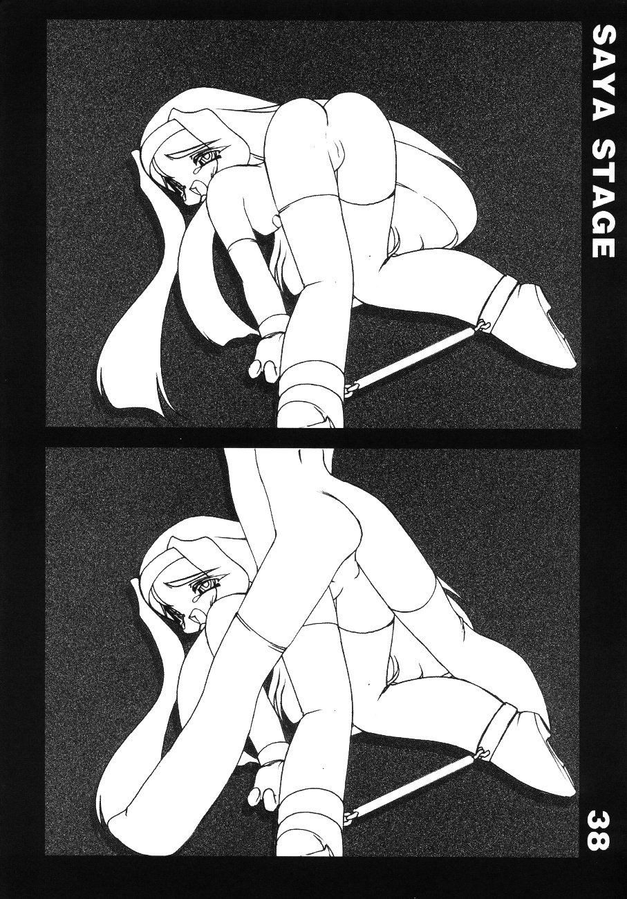 [ISF]アートオブプレジャーサーキット