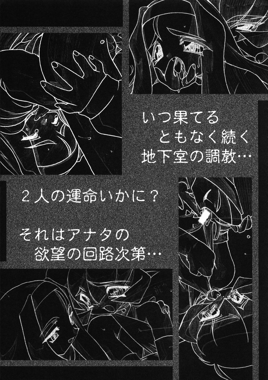 [ISF]アートオブプレジャーサーキット