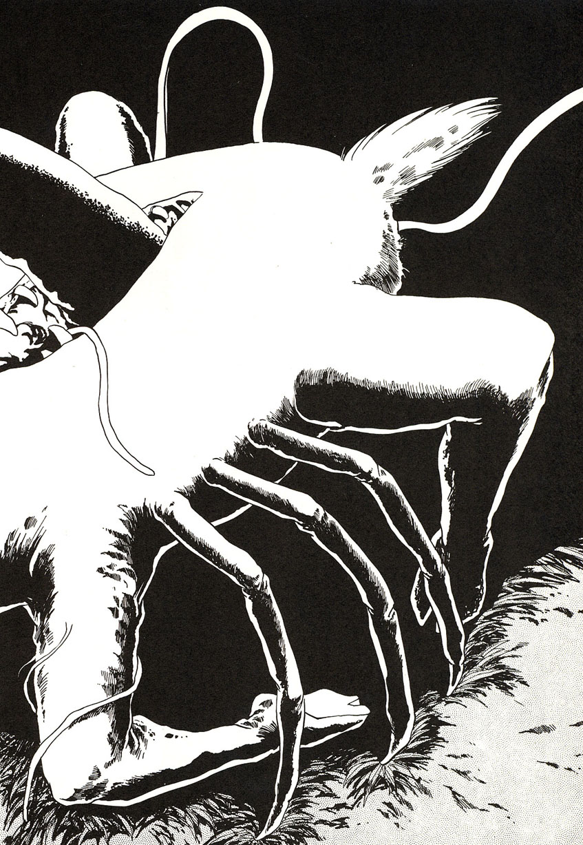 [わたなべよしまさ] ミッドナイトプログラム