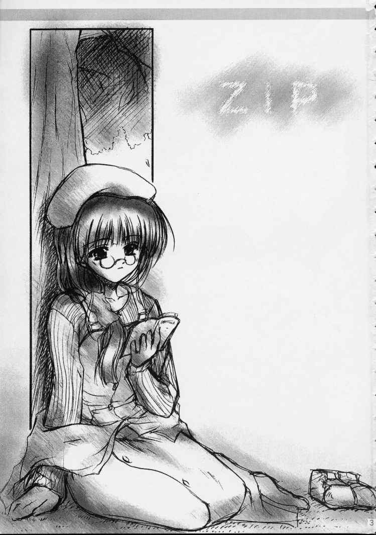 (C56) [ZiP (萌木原ふみたけ, 木村ひろたか)] ～しましまパーティー～ (こみっくパーティー)