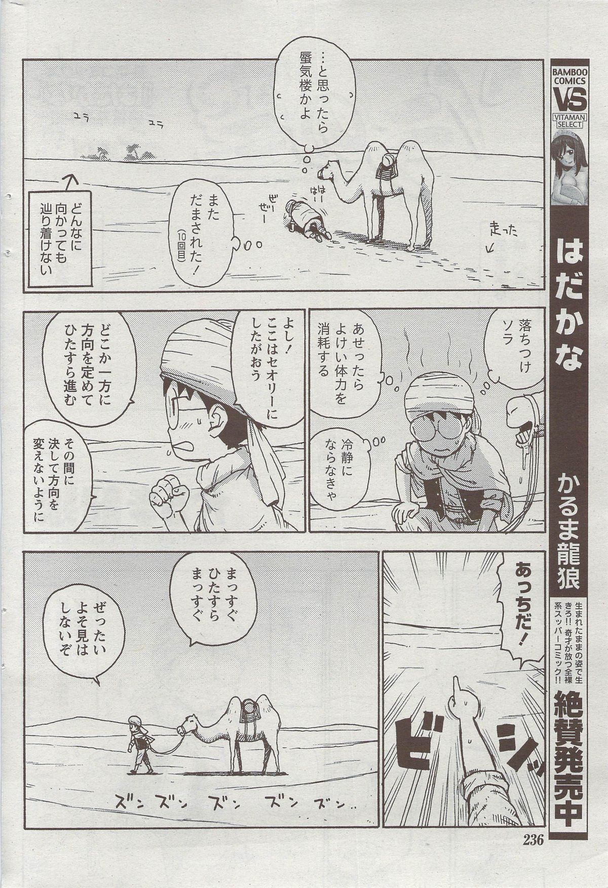 月刊 ビタマン 2009年9月号